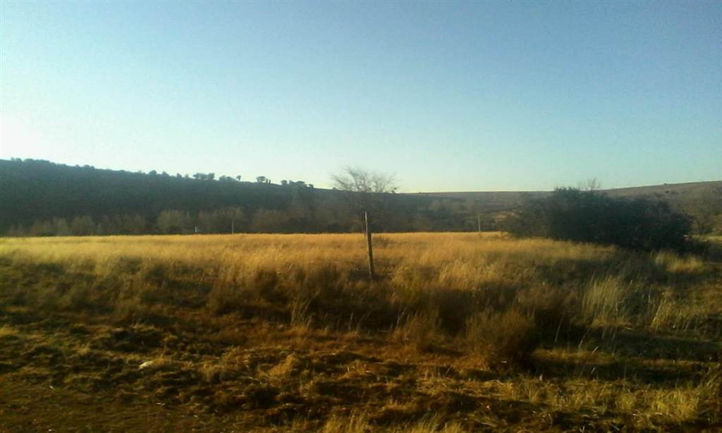 2775 m² Land available in Rosendal photo number 2