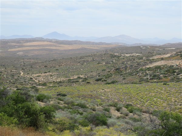 397 ha Farm in Springbok