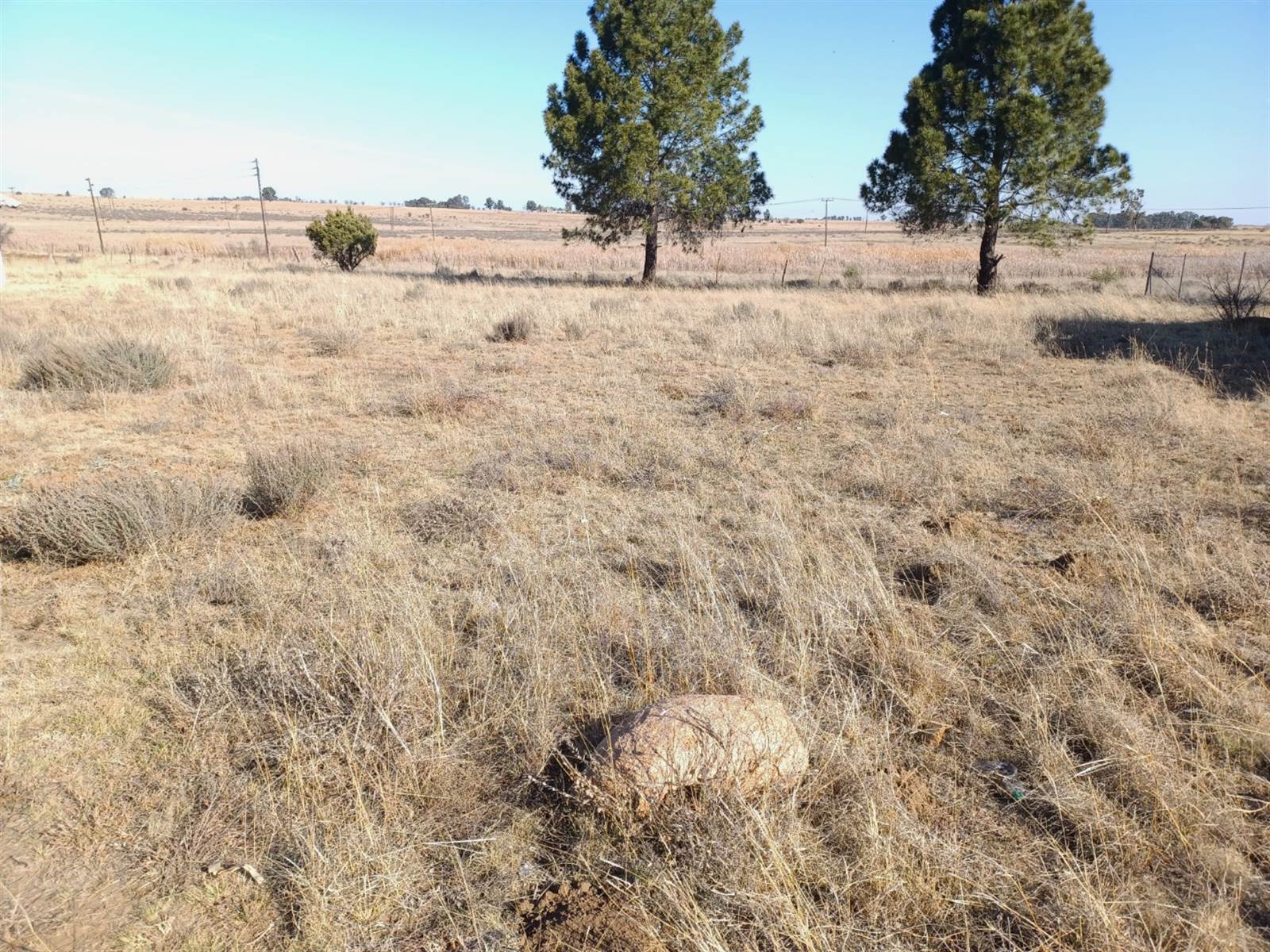 1382 m² Land available in Vredefort photo number 3