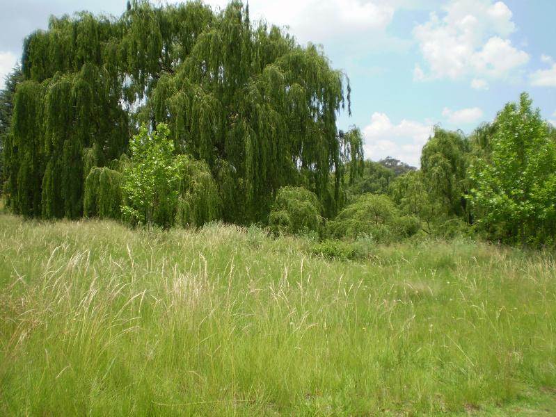 671 m² Land available in Clarens photo number 5
