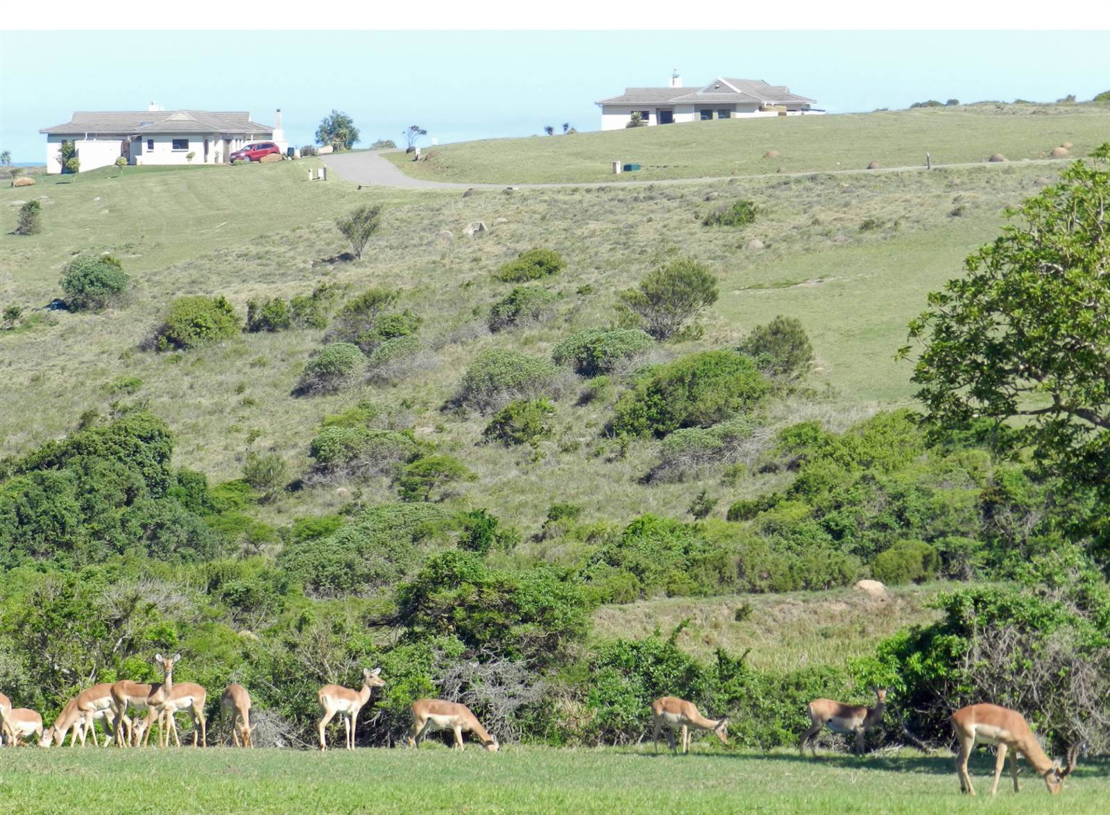 1464 m² Land available in Cintsa photo number 7