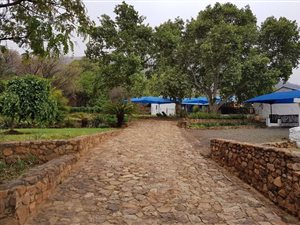 29 ha Farm in Kameeldrift West