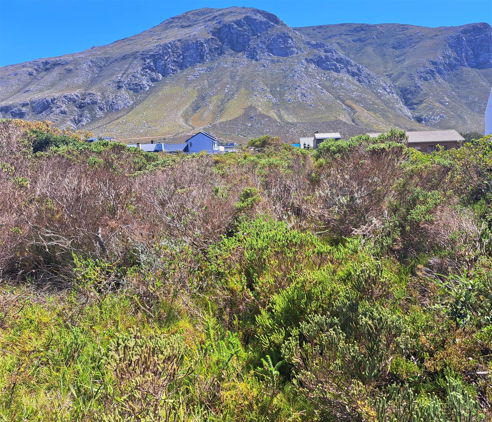 703 m² Land available in Bettys Bay photo number 2
