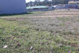 6988 m² Land available in Albertinia photo number 9