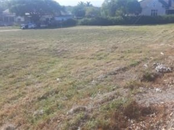 6988 m² Land available in Albertinia