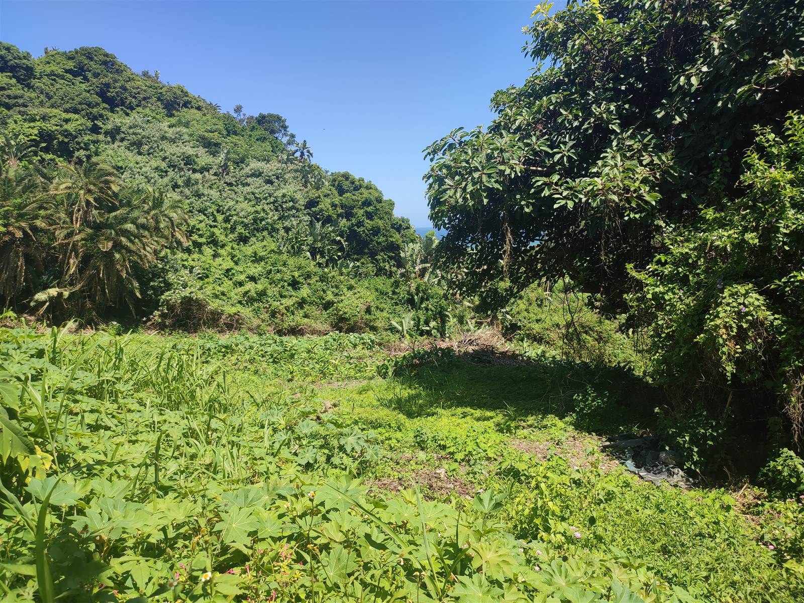1927 m² Land available in Ifafa Beach photo number 2