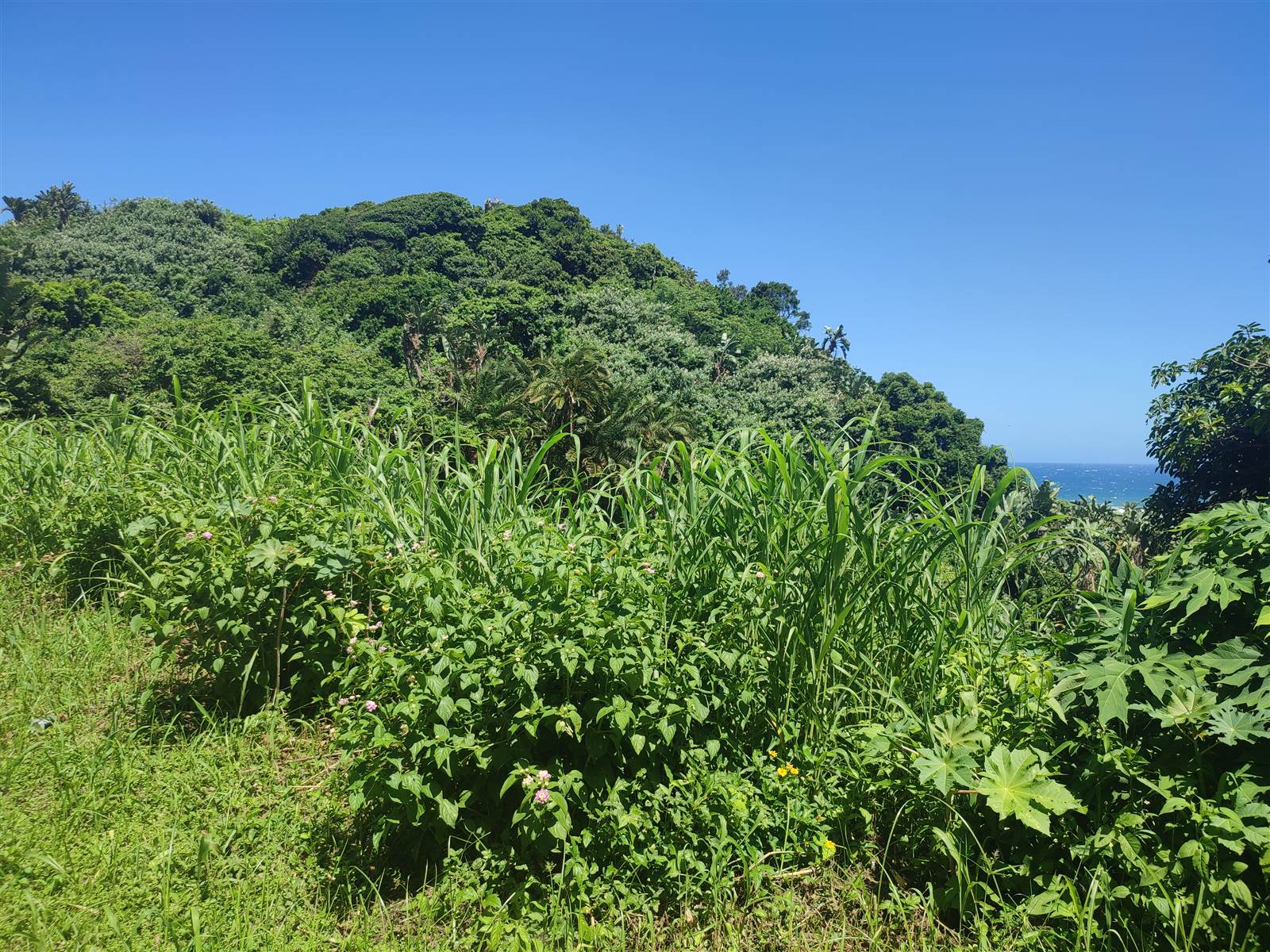 1927 m² Land available in Ifafa Beach photo number 10