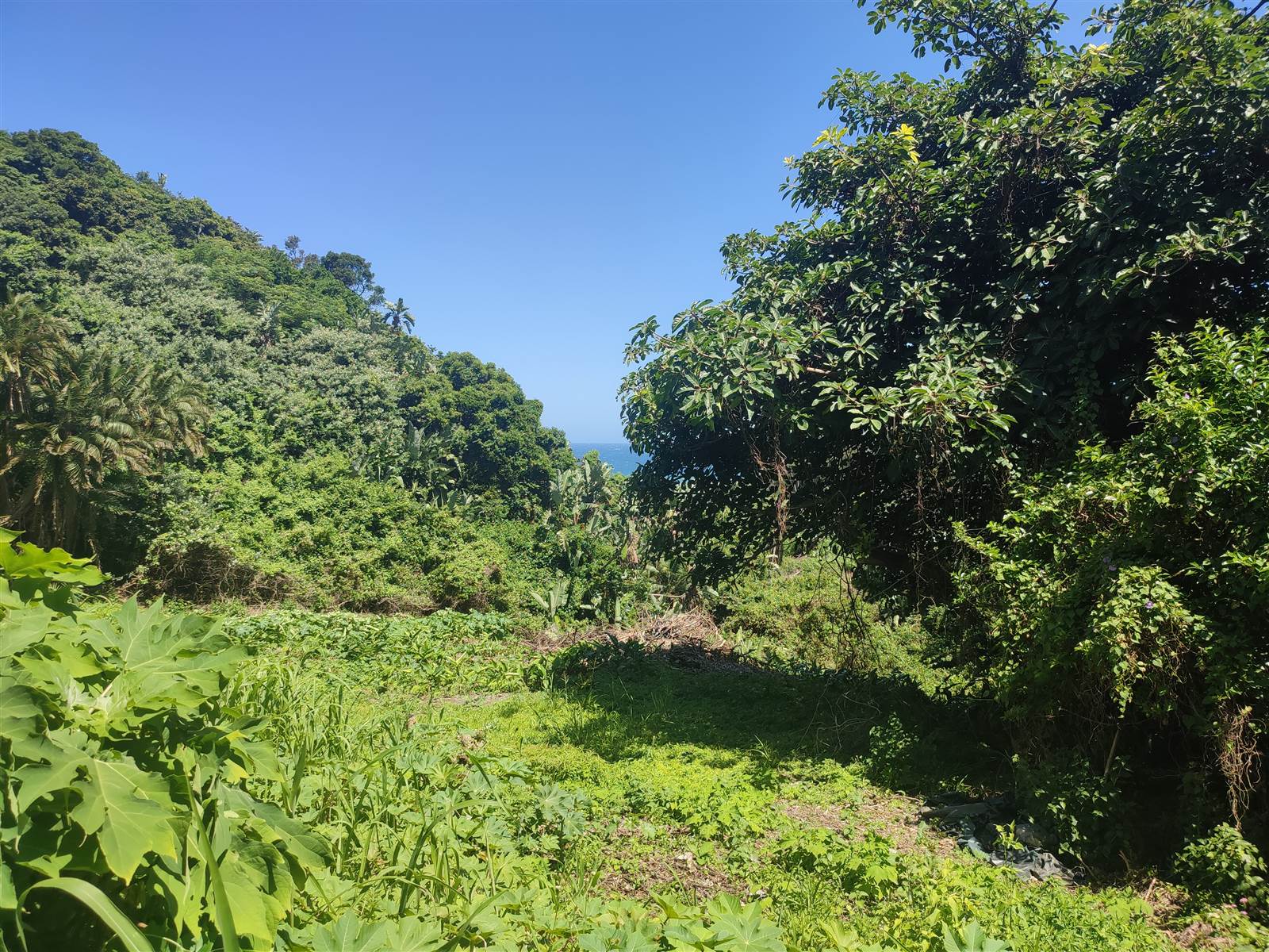 1927 m² Land available in Ifafa Beach photo number 13