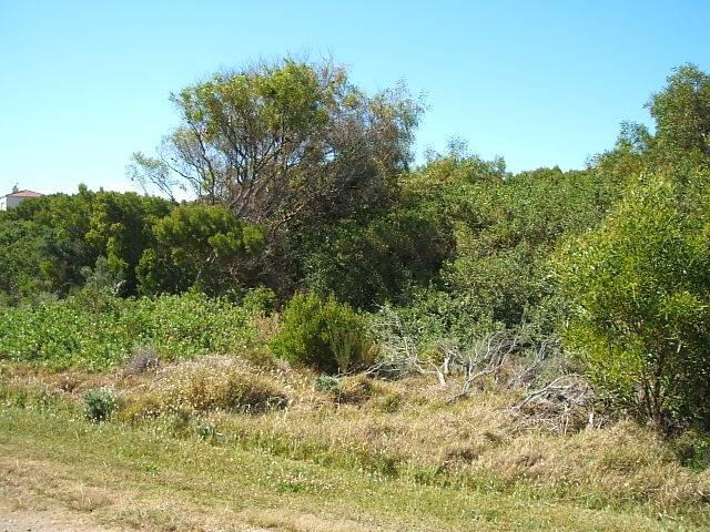802 m² Land available in Santareme photo number 3