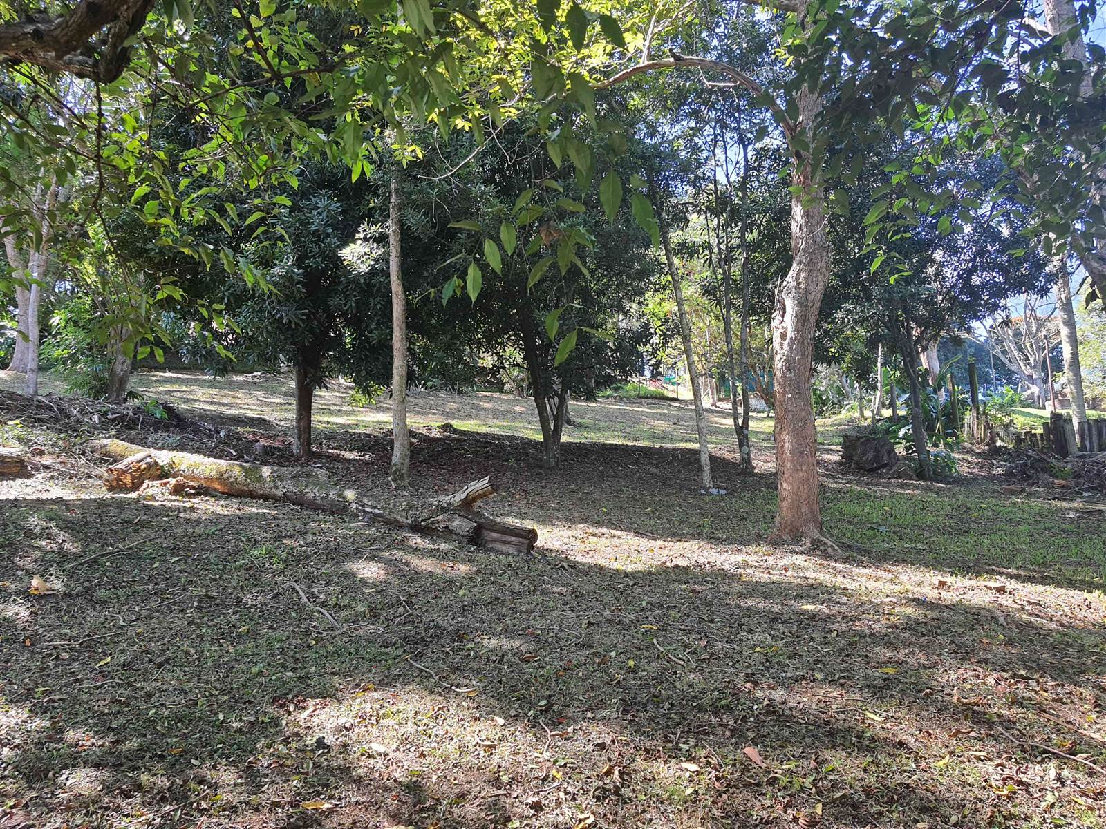2526 m² Land available in Hillcrest Central photo number 6