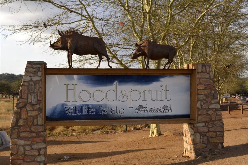 4900 m² Land available in Hoedspruit Wildlife Estate photo number 6