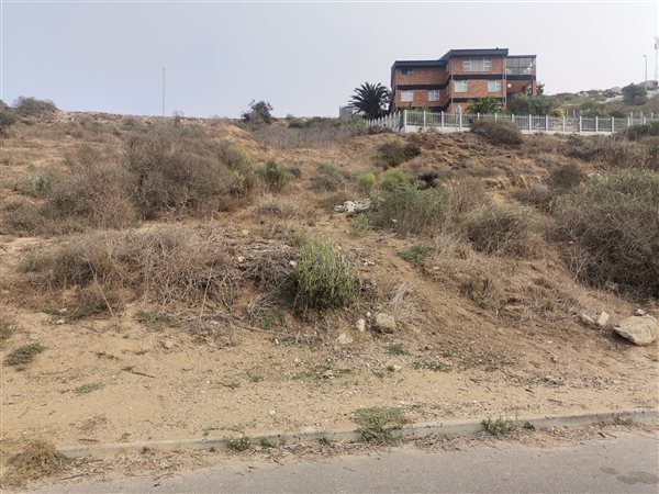 993 m² Land available in Saldanha