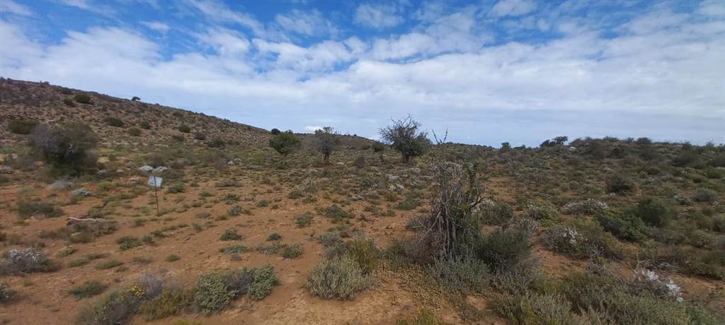 1 ha Land available in Ladismith photo number 27
