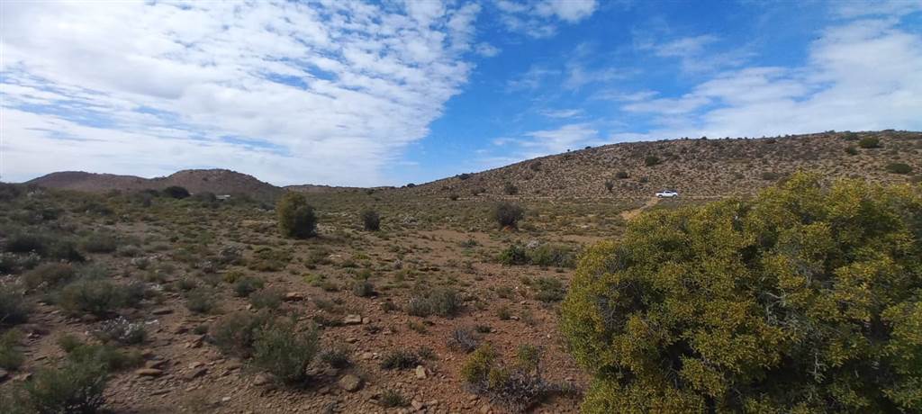 1 ha Land available in Ladismith photo number 18