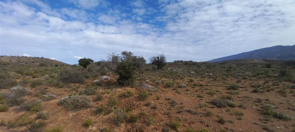 1 ha Land available in Ladismith photo number 9