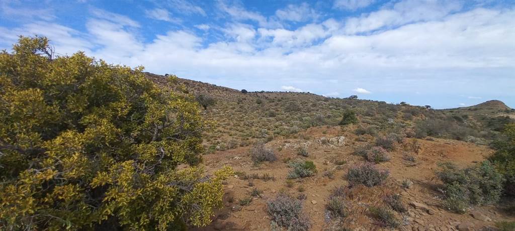 1 ha Land available in Ladismith photo number 26