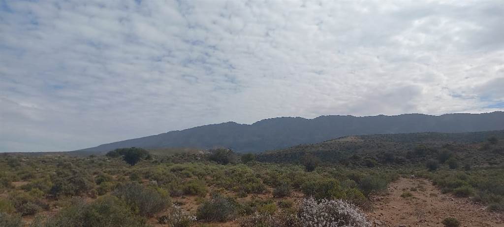 1 ha Land available in Ladismith photo number 13
