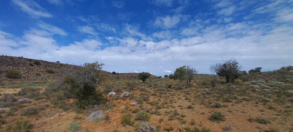 1 ha Land available in Ladismith photo number 17