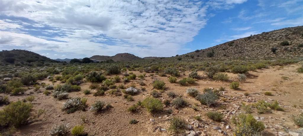 1 ha Land available in Ladismith photo number 28