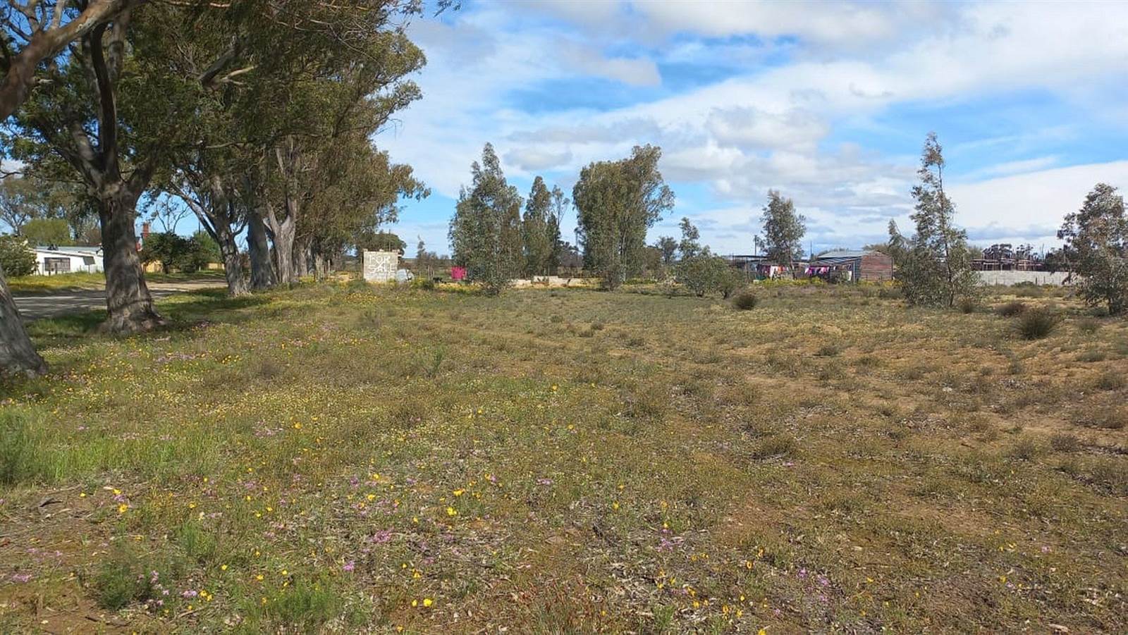 893 m² Land available in Nieuwoudtville photo number 5