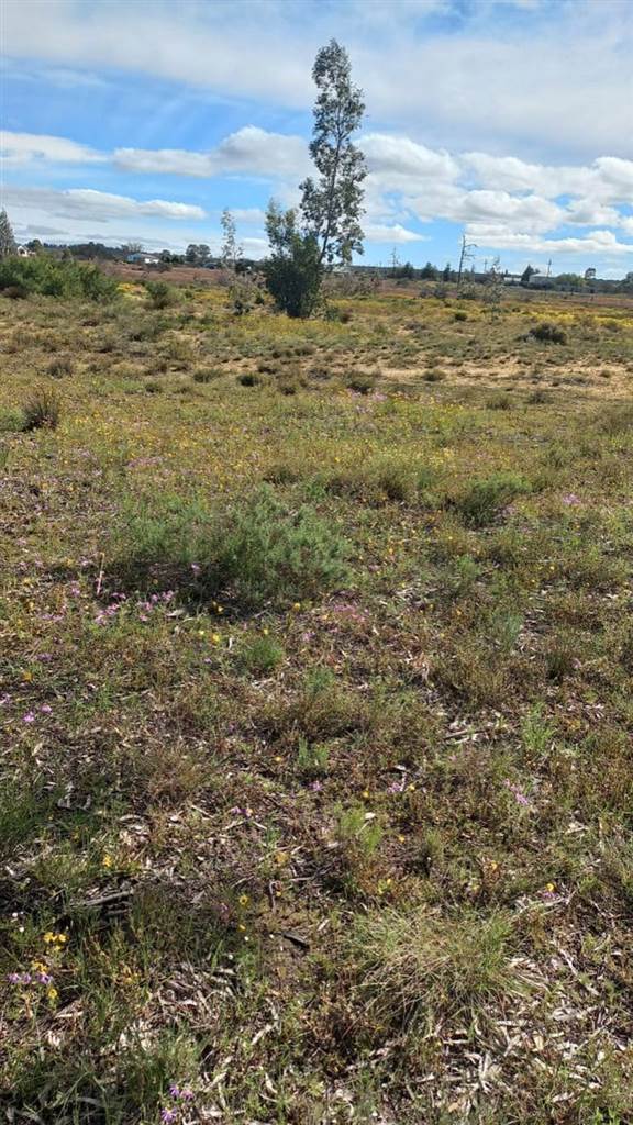 893 m² Land available in Nieuwoudtville photo number 6