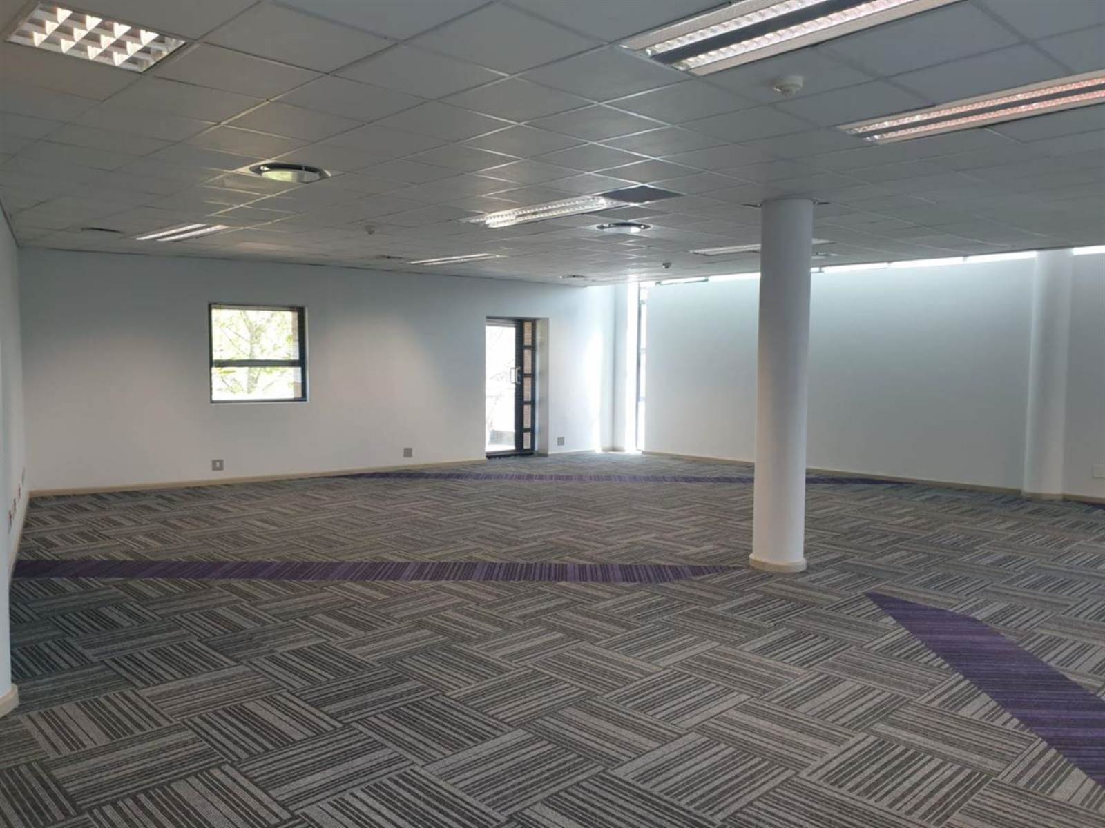 316  m² Commercial space in Parktown photo number 12