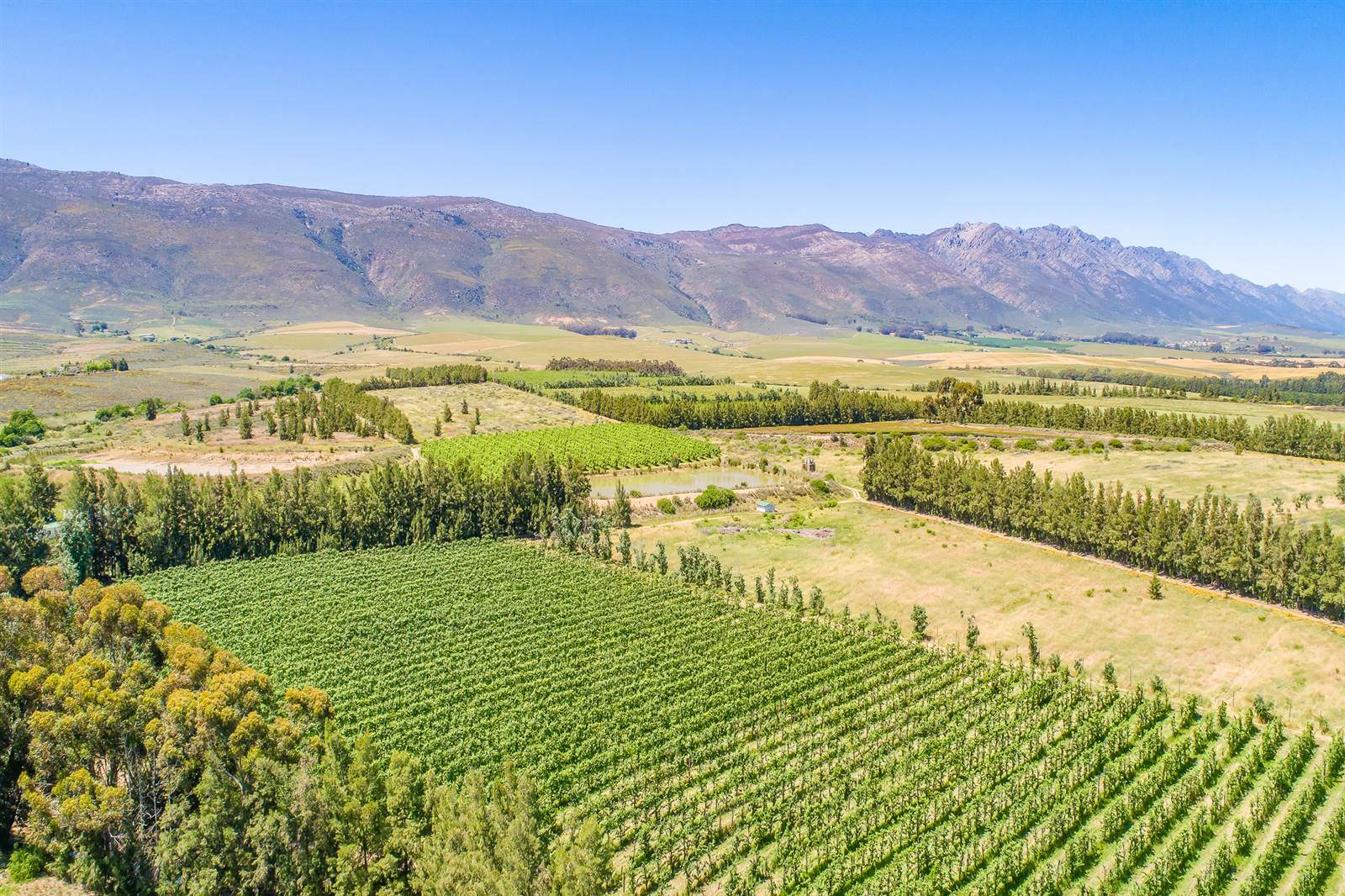 55 ha Farm in Tulbagh photo number 18