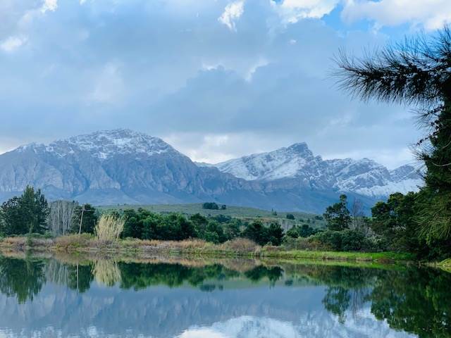 55 ha Farm in Tulbagh photo number 10