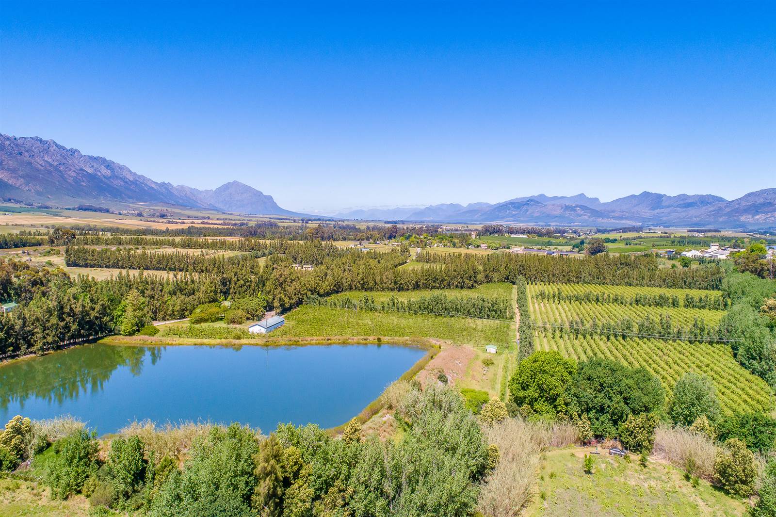 55 ha Farm in Tulbagh photo number 9