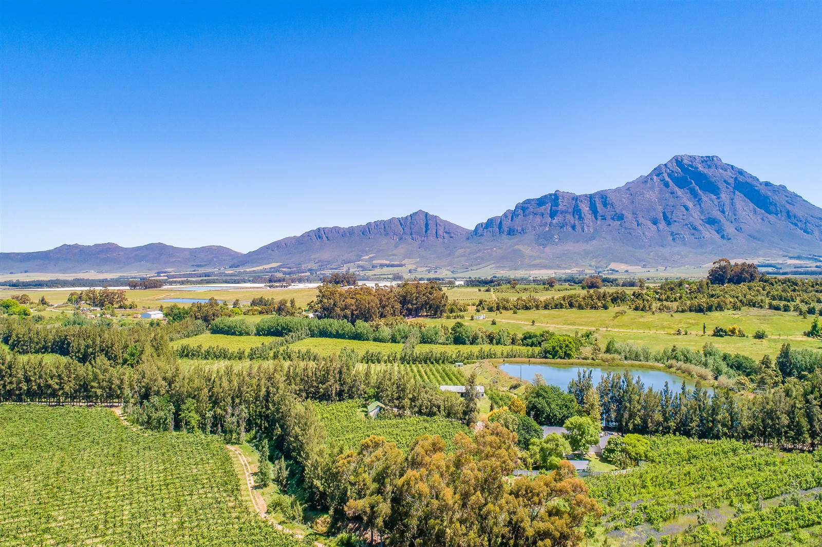 55 ha Farm in Tulbagh photo number 1