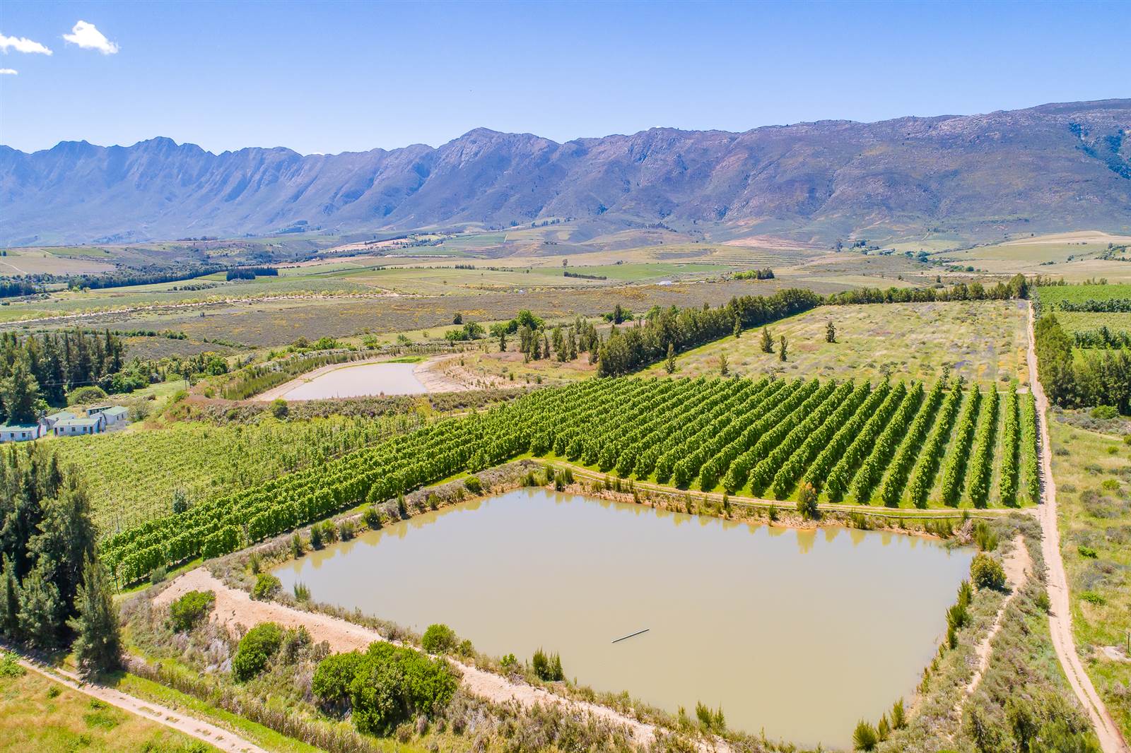 55 ha Farm in Tulbagh photo number 17