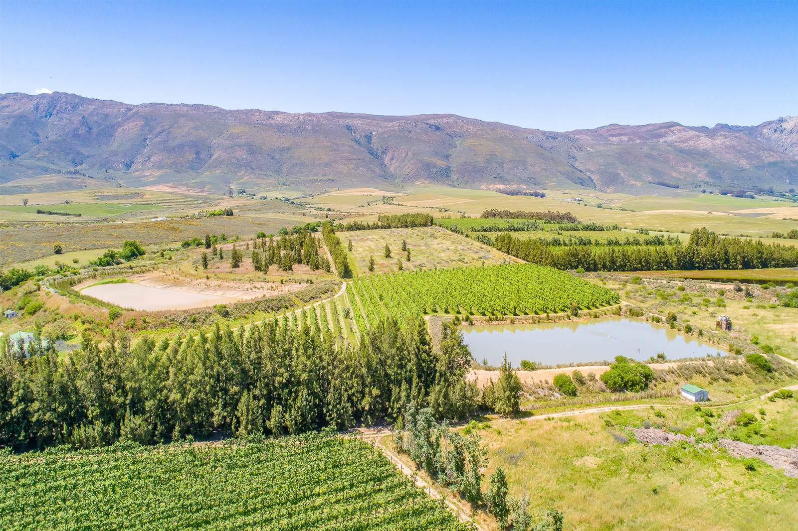 55 ha Farm in Tulbagh photo number 19