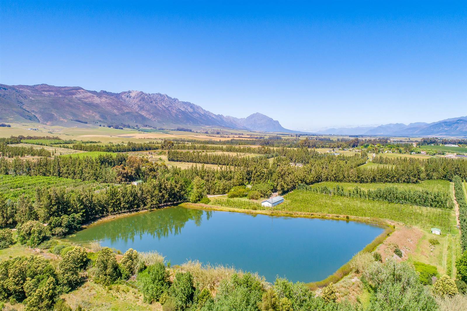 55 ha Farm in Tulbagh photo number 12