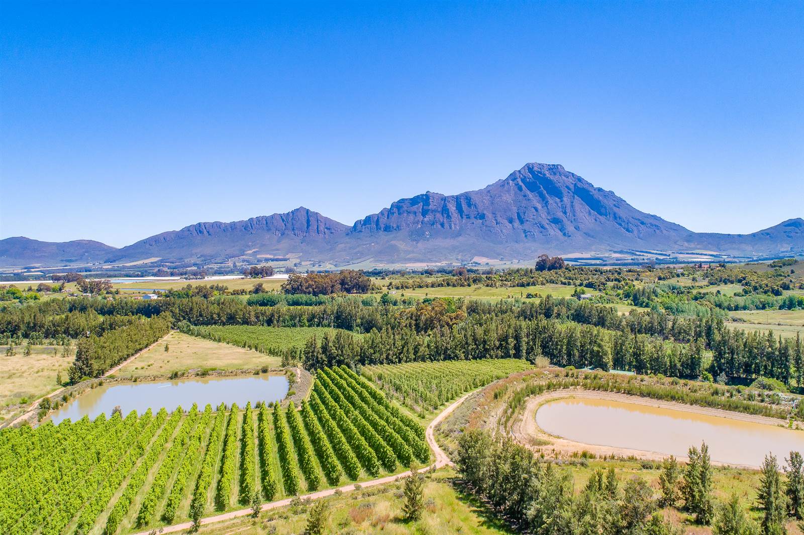 55 ha Farm in Tulbagh photo number 6
