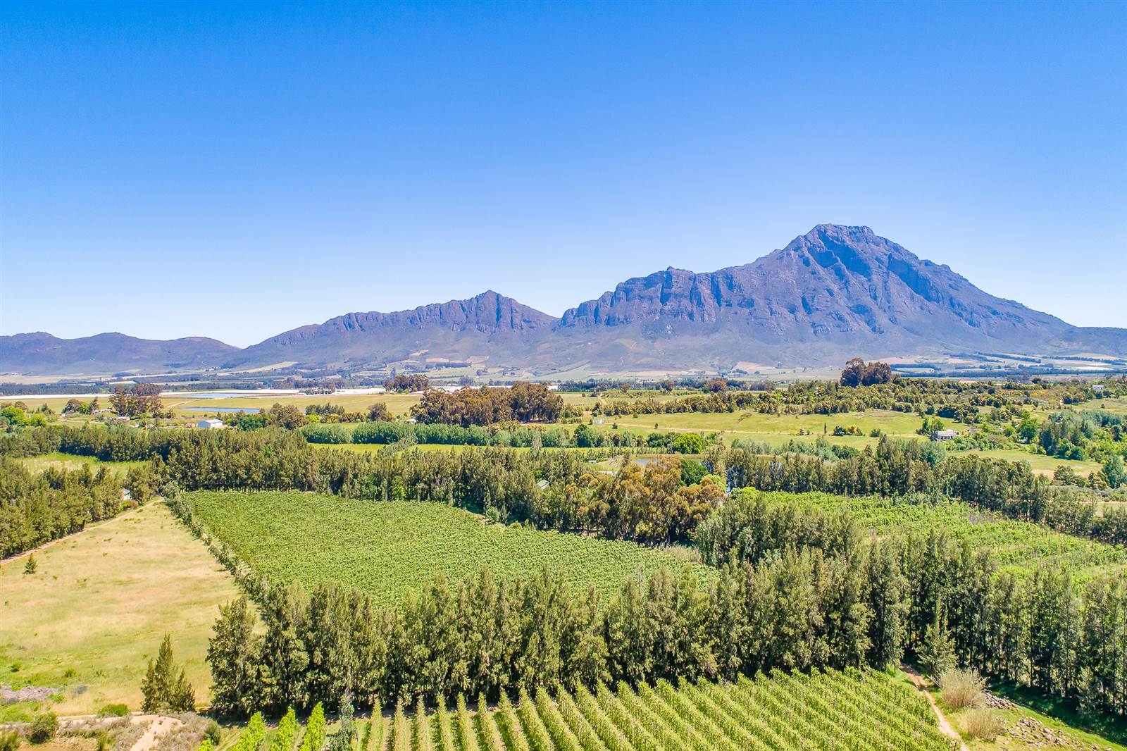 55 ha Farm in Tulbagh photo number 8