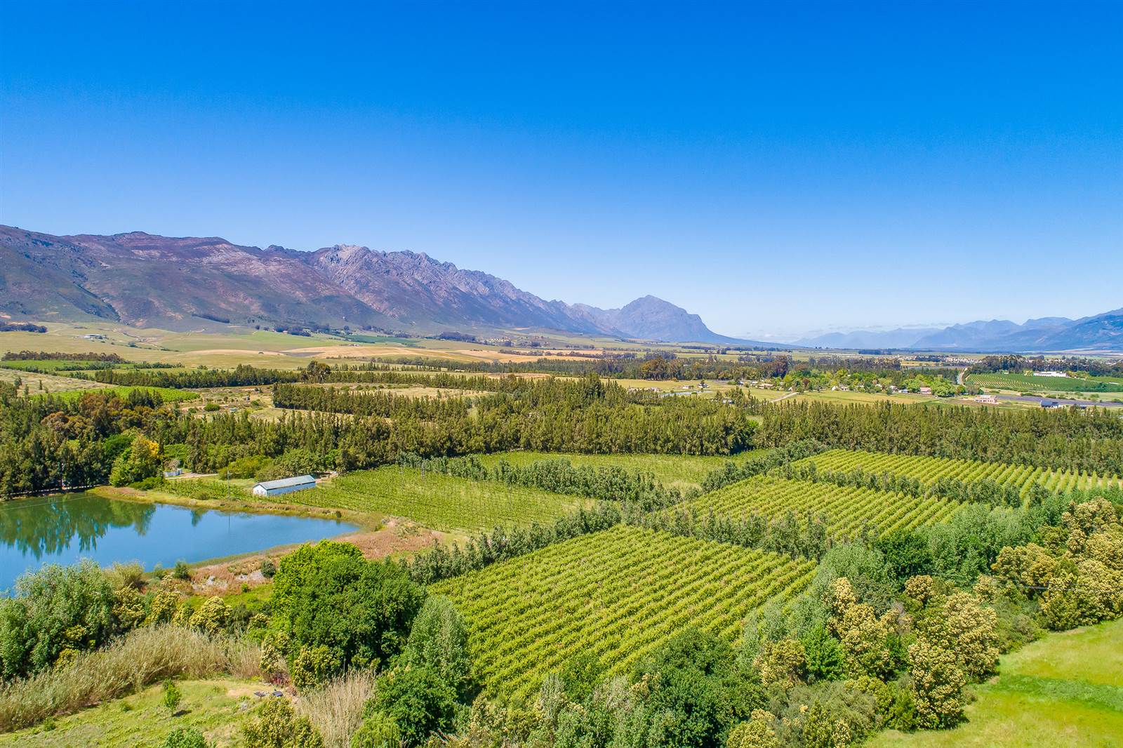 55 ha Farm in Tulbagh photo number 11