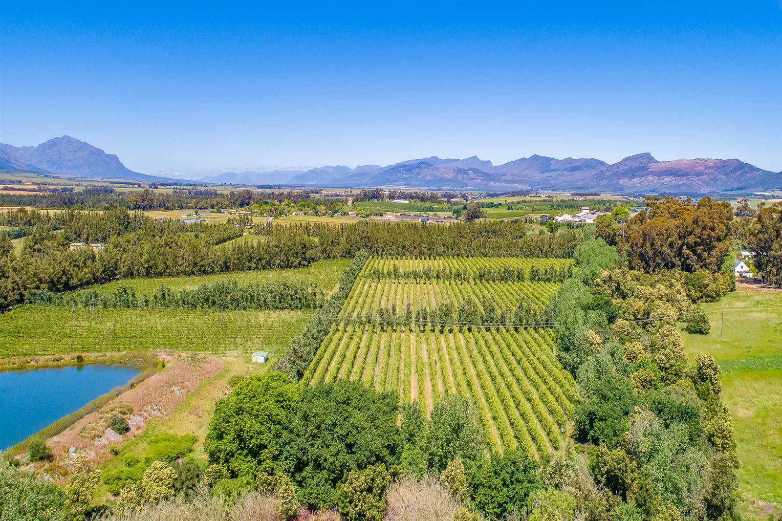 55 ha Farm in Tulbagh photo number 5