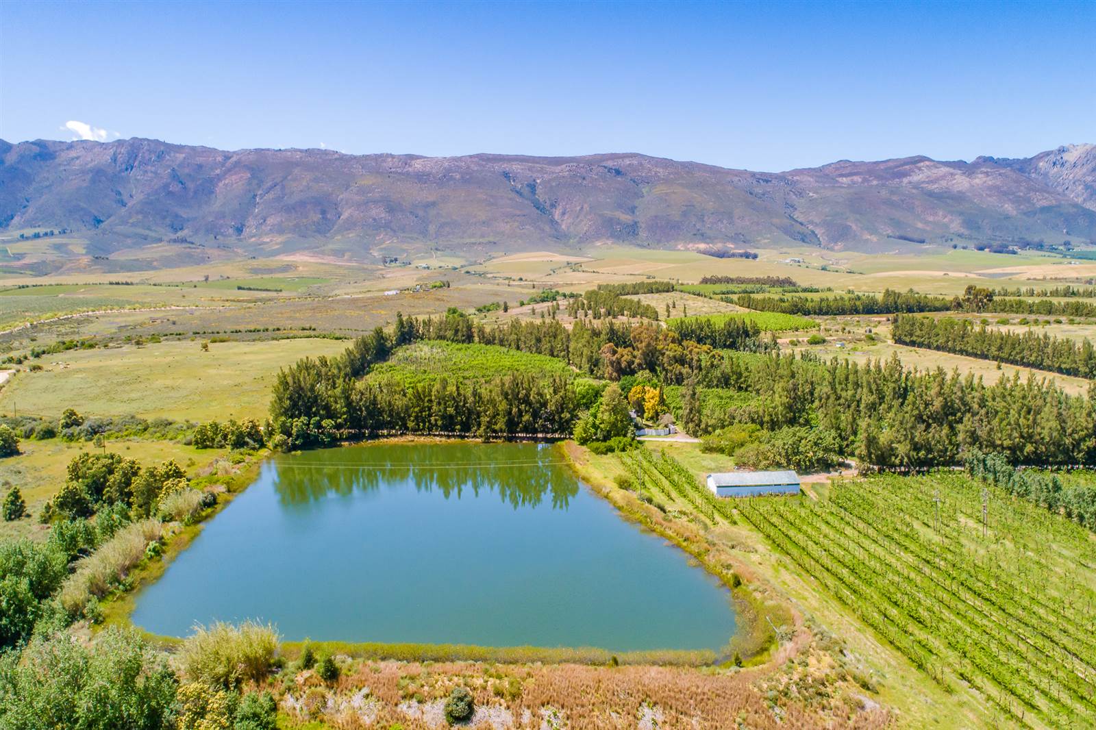 55 ha Farm in Tulbagh photo number 7
