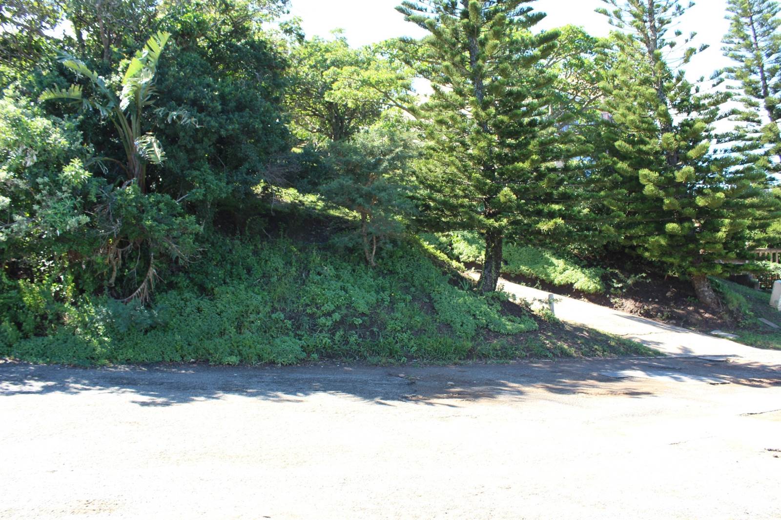 1319 m² Land available in Cintsa photo number 7