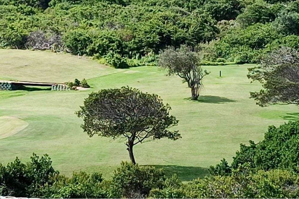 705 m² Land available in Dolphin Creek Golf Estate photo number 4