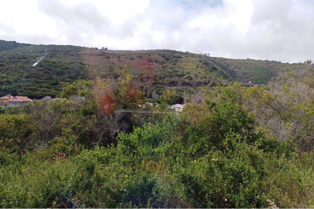 705 m² Land available in Dolphin Creek Golf Estate photo number 14