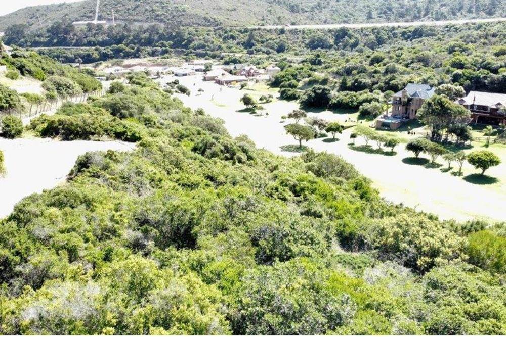 705 m² Land available in Dolphin Creek Golf Estate photo number 12