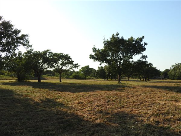 1.7 ha Land available in Komatipoort