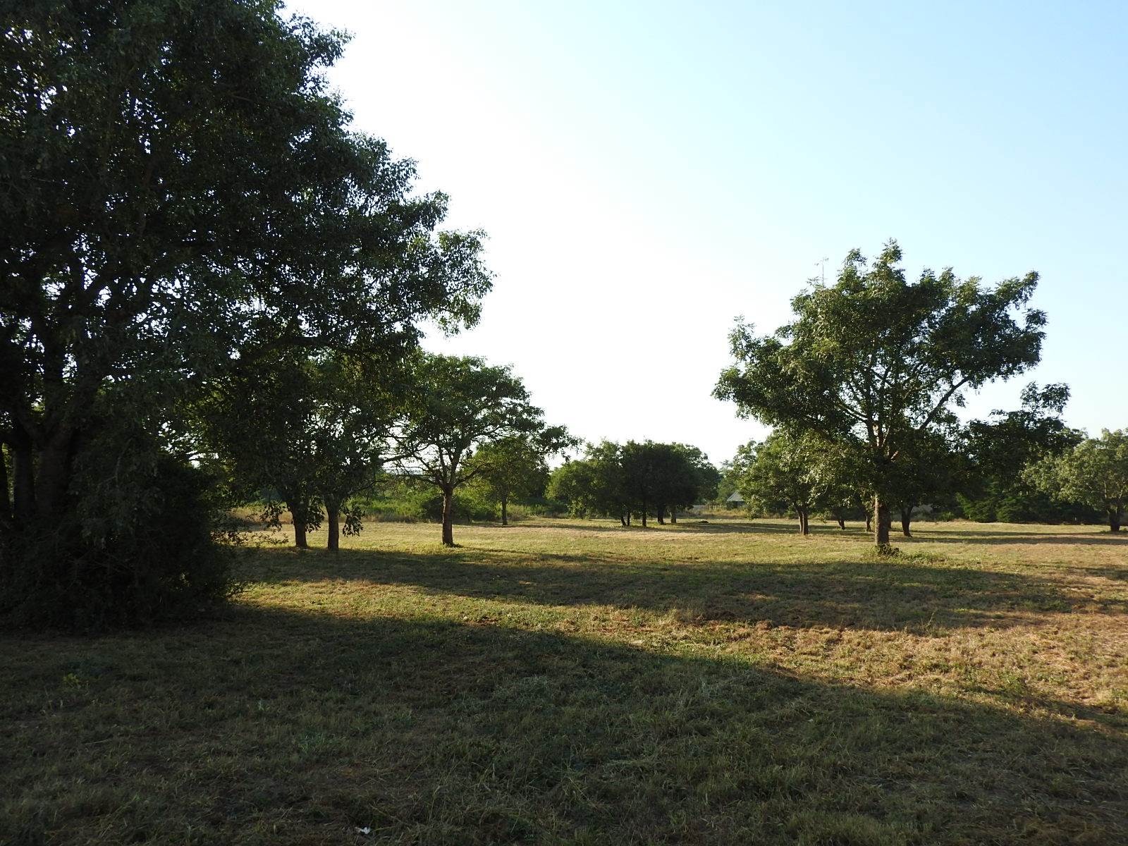 1.7 ha Land available in Komatipoort photo number 2