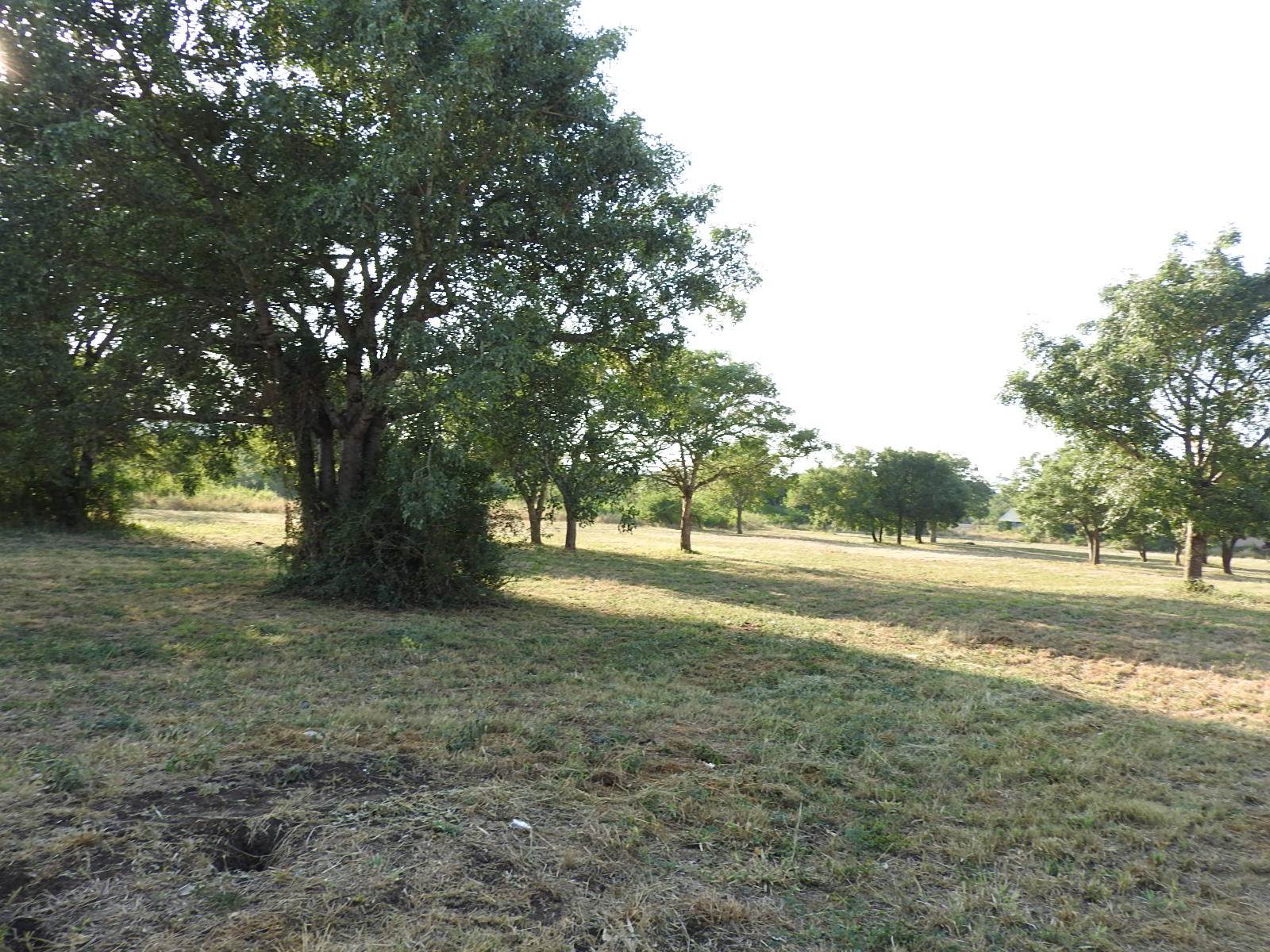 1.7 ha Land available in Komatipoort photo number 3