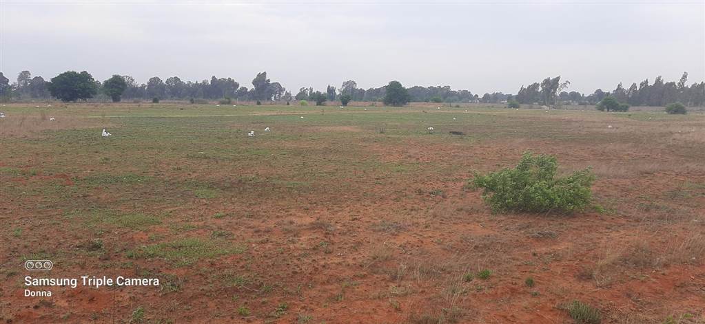 1000 m² Land available in Riversdale photo number 1