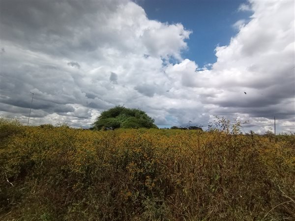 1 004 m² Land 1 004 m² Land