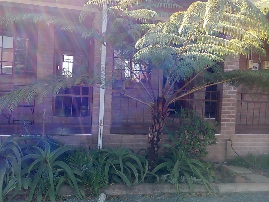 17 Bed House in Ulundi photo number 4