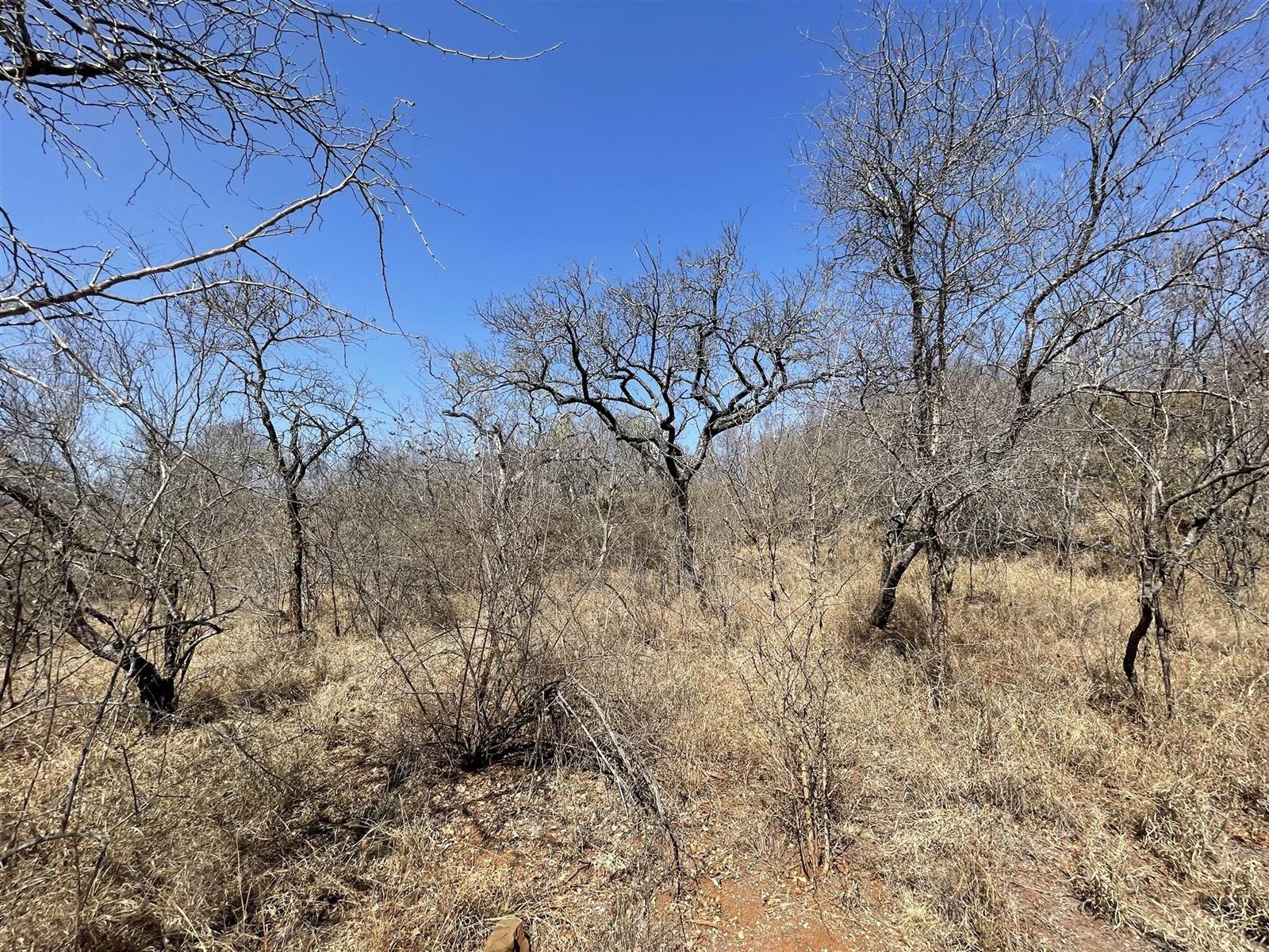 2 ha Land available in Hoedspruit photo number 1