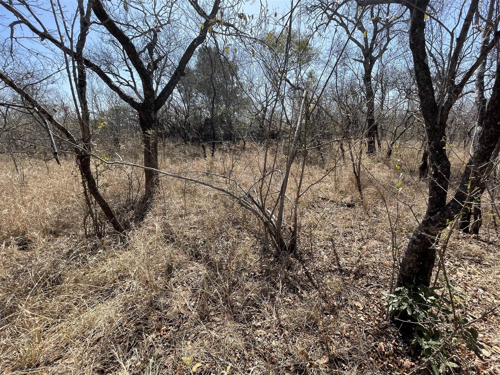 2 ha Land available in Hoedspruit photo number 3
